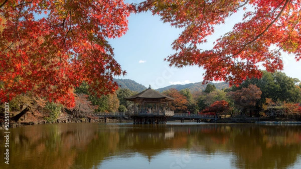 Fototapeta fall colors on the lake.The appearance of the Ukimido Pavilion in the middle of the Sagi Pond with a maple leaf frame.