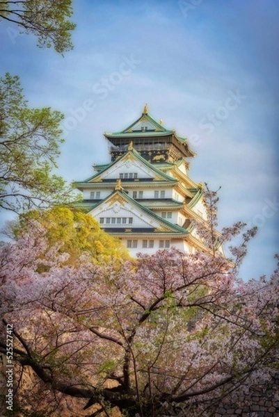Fototapeta View of Osaka Castle with cherry blossom trees as a frame and dramatic sky.