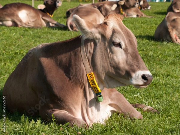 Obraz OLYMPUS DIGITAL CAMERA