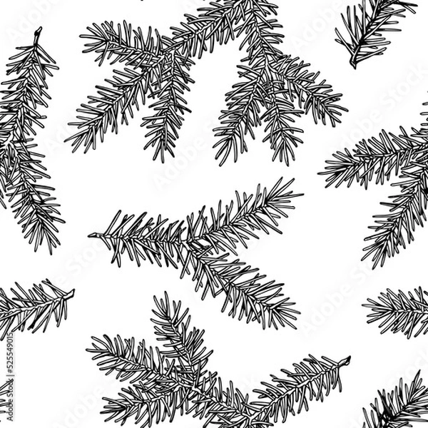 Fototapeta Mysterious forest seamless pattern background design. Engraved style. Hand drawn spruce branch.