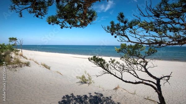 Fototapeta Baltic Sea. Beautiful beach, coast and dune on the Hel Peninsula. Piękne plaże półwyspu helskiego z widokiem na wydmę, roślinność wydmową, piasek i morze bałtyckie.  Okolice Helu i Juraty 
