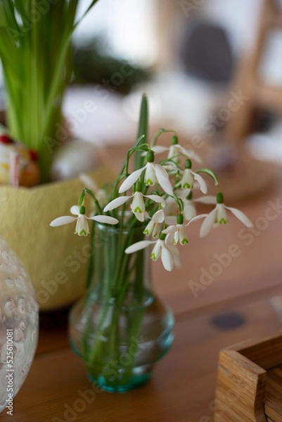 Fototapeta Schneeglöckchen