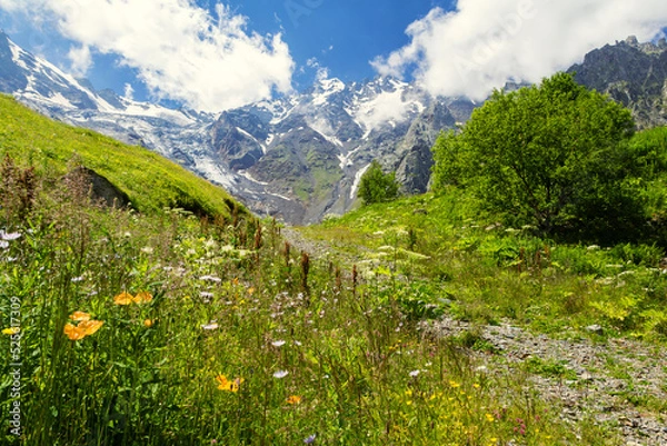 Obraz View of a mountain glacier.