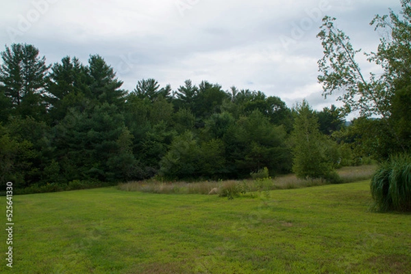 Obraz An open field or meadow bordered by forest of tall pine trees against a cloud filled sky in Upstate New York