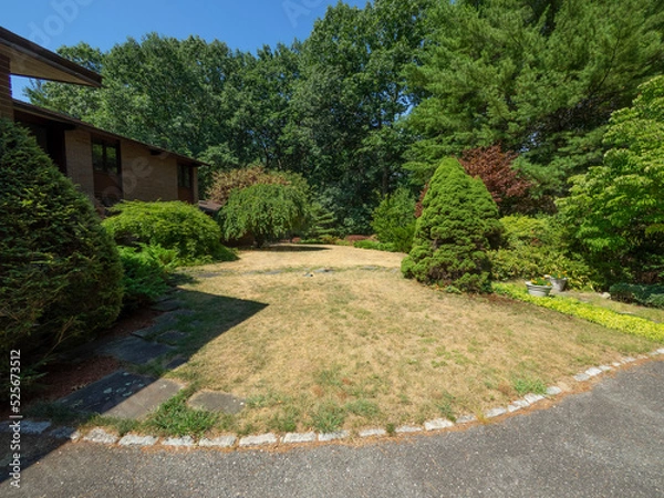 Fototapeta Dry front lawn due to drought