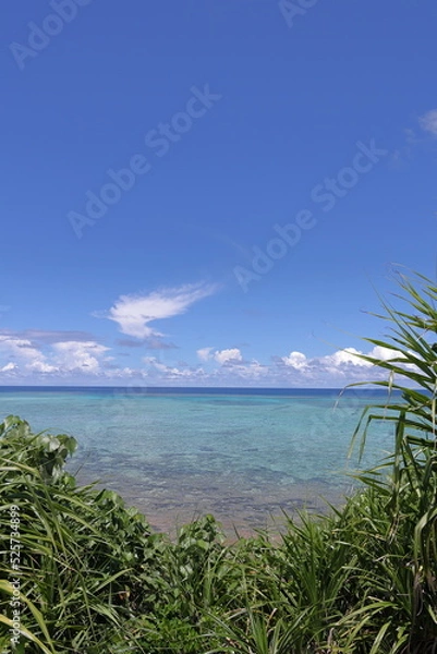 Fototapeta 茂みの奥に見える青い海