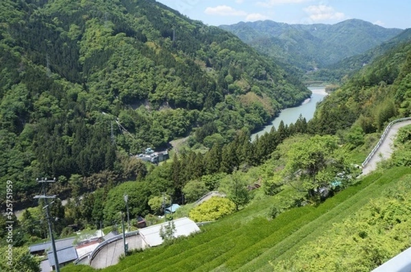 Obraz 秘境 中井侍の斜面集落と天竜川【長野県天龍村】