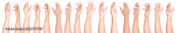Fototapeta Multiple Male Caucasian hand gestures isolated over the white background, set of multiple images.