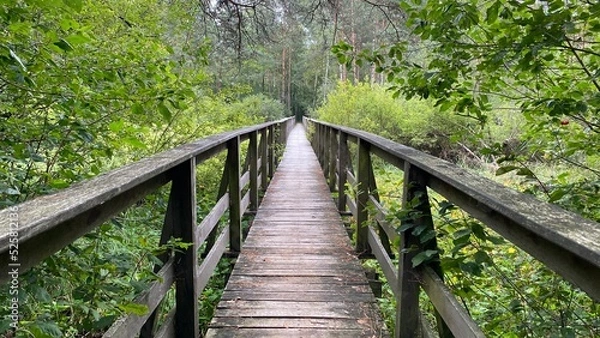 Fototapeta wooden footbridge passing through peat bog and swamp