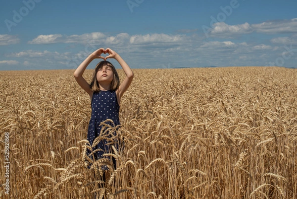 Fototapeta A Ukrainian girl folded her hands in the shape of a heart and prays to God for peace in a wheat field.