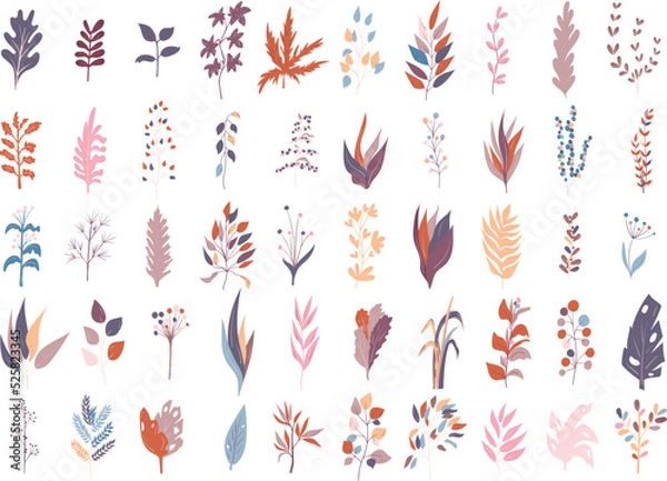 Fototapeta Set of leaf icons in doodle style