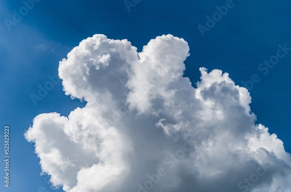 Fototapeta clouds in the sky