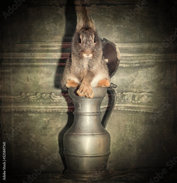 Obraz Funny bunny rabbits