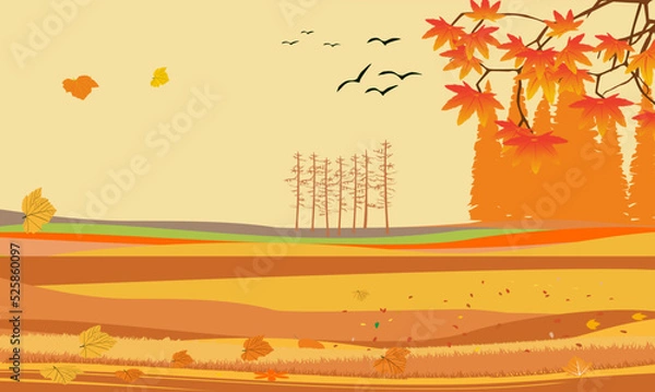 Fototapeta Noth forest at autumn yellow trees and ground landscape  vector