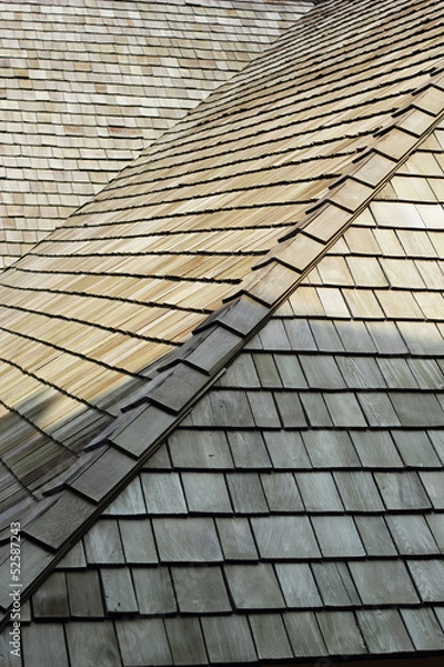 Obraz Tile roof