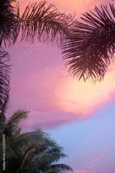 Obraz sunset over the sea