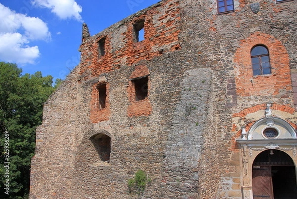 Obraz Schloss Grodno in Zagórze Śląskie (Polen), auf dem Gipfel des Berges Choina (450 m über dem Meeresspiegel).