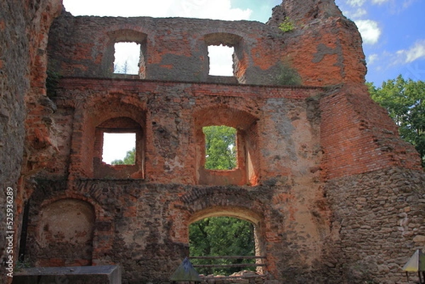 Obraz Schloss Grodno in Zagórze Śląskie (Polen), auf dem Gipfel des Berges Choina (450 m über dem Meeresspiegel)