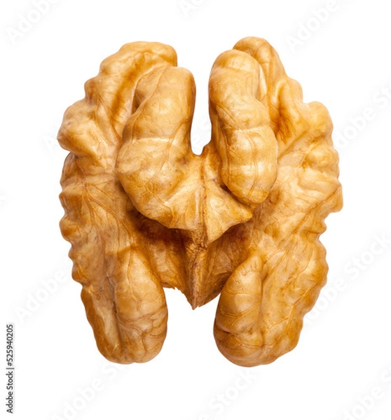Obraz walnut isolated on transparent background,