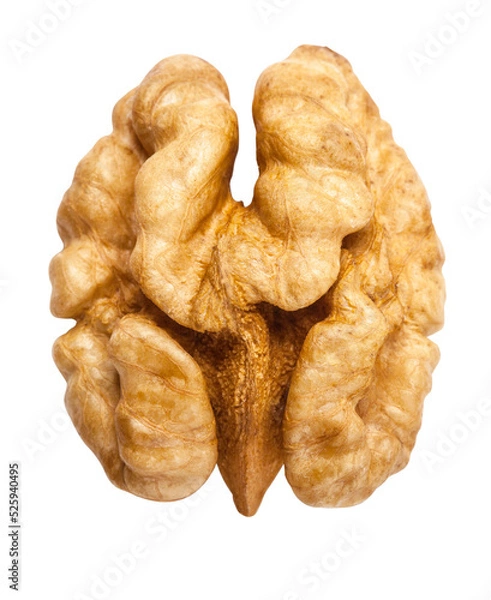Fototapeta walnut isolated on transparent background,