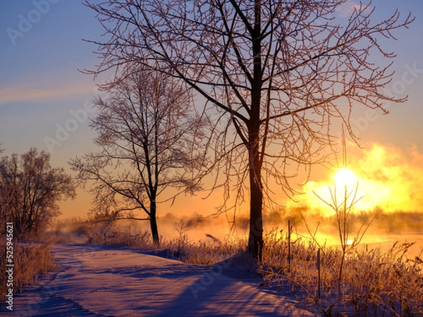 Fototapeta 冬の北海道