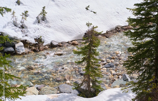 Obraz stream in the snow