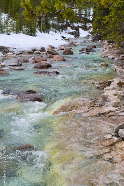 Obraz mountain river in the forest