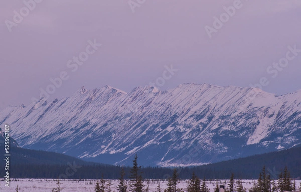 Obraz snow covered mountains