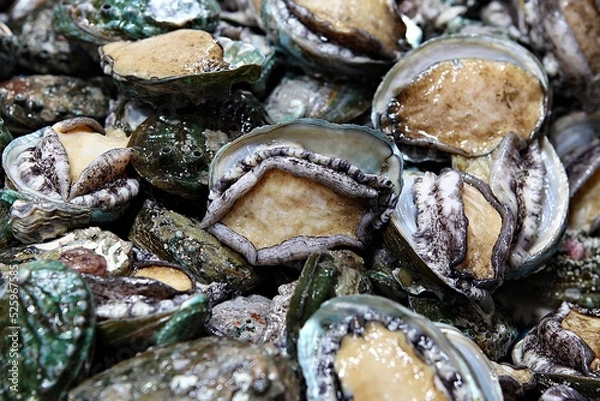 Obraz 전복,조개,해산물,음식,먹거리,한국,