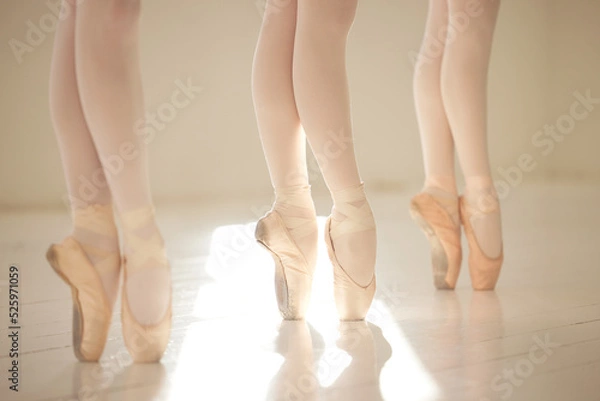 Fototapeta Ballet dance woman legs in studio training, exercise and working on performance for competition. Ballerina shoes, teamwork and creative art academy school students learning dancing routine