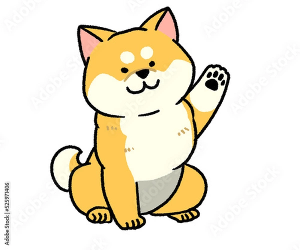 Fototapeta 片手を挙げている茶色の柴犬