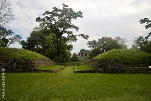 Obraz garden in the park