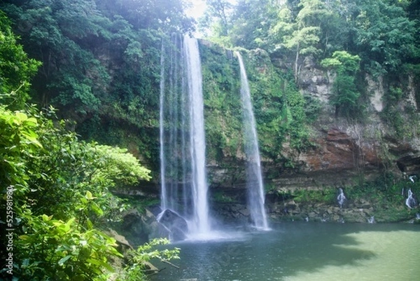Obraz waterfall in the forest