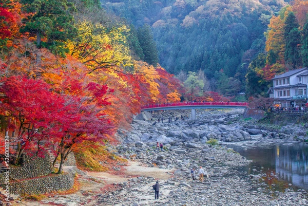 Fototapeta 香嵐渓