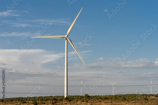 Fototapeta renewable energy