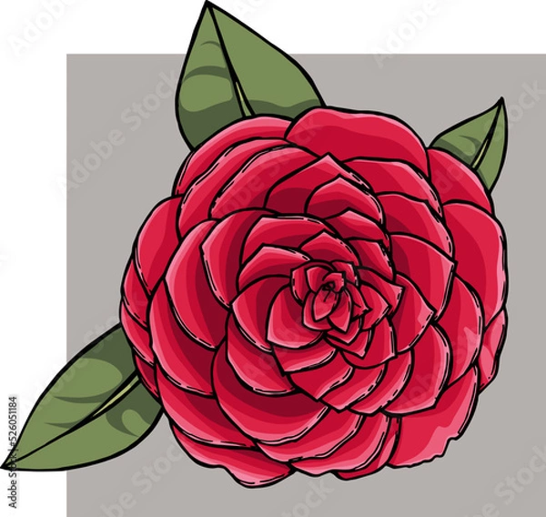 Obraz Vector  iluustration with colored ink rose