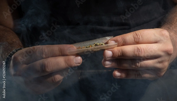 Obraz Sweet Smoked Spliff