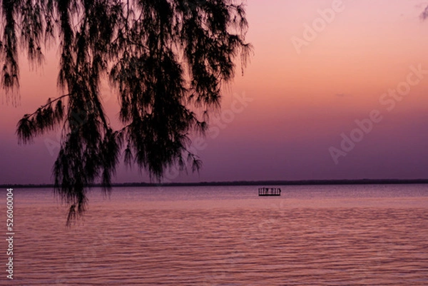 Fototapeta Roter pinker violetter Sonnenuntergang über dem Meer. Flache Insel-Silhouette am Horizont. Schwarze schattige Weidenäste im Vordergrund.