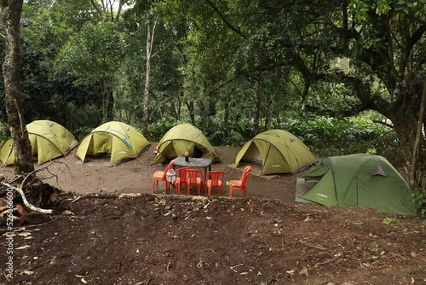Fototapeta touristic tent in a forest