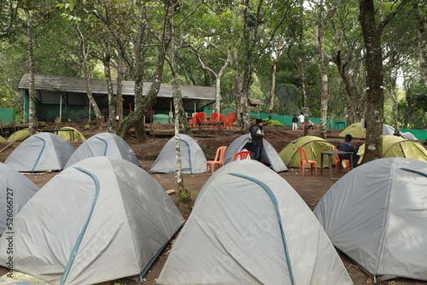 Obraz camping in the forest