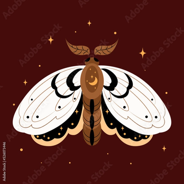 Fototapeta Vector illustrations of magical moth, drawn mystical doodle design element, set of magic and witchcraft in doodle style, Boho moth banner, drawn Halloween design element, drawn mystical doodle