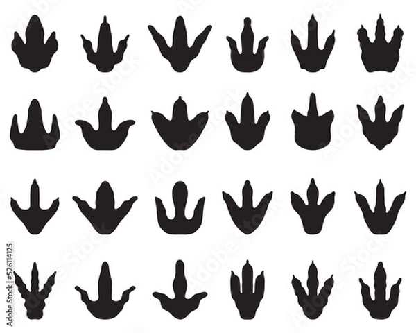 Fototapeta Black footprints of dinosaurs on a white background	