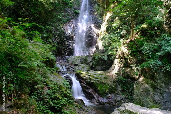 Fototapeta 払沢の滝