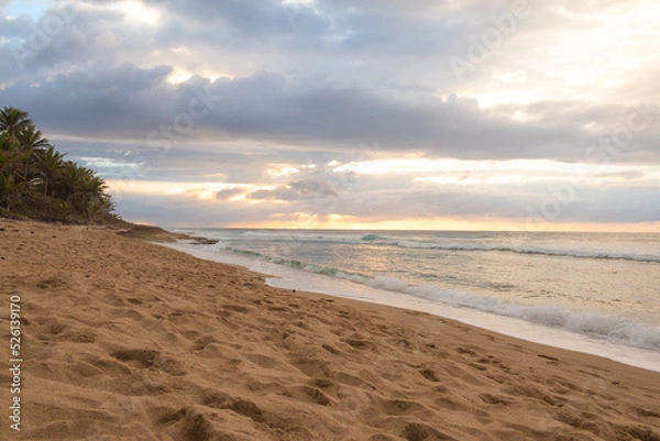 Obraz Sunset at the beach