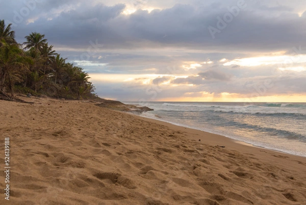 Obraz Sunset at the beach