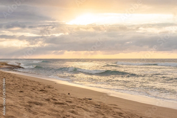 Obraz Sunset at the beach