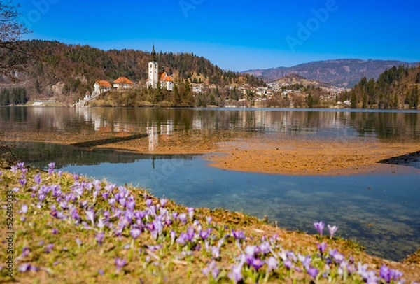 Obraz lake and mountains