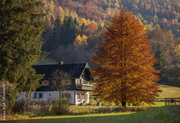 Obraz house in autumn