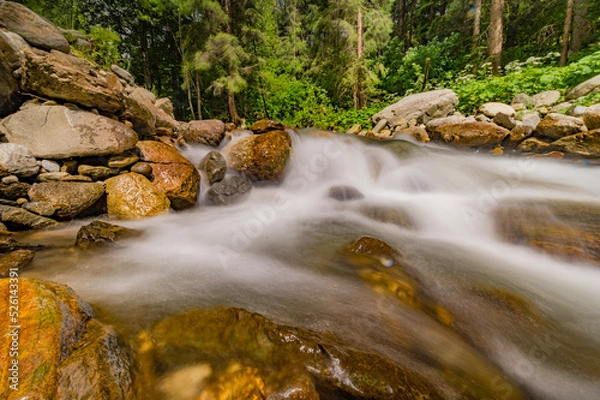 Obraz waterfall in the forest