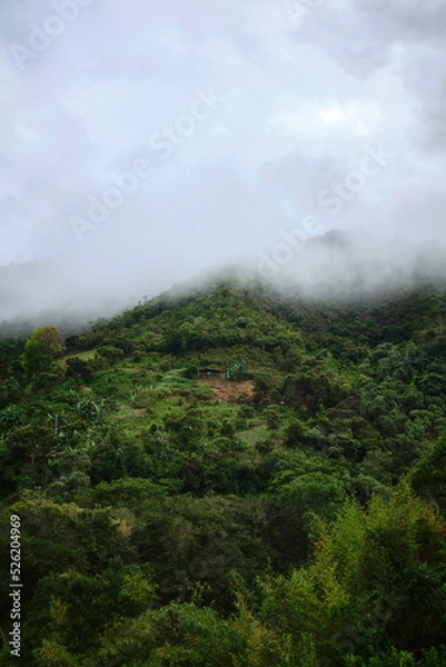 Fototapeta Small House in the Andes Mountains on a foggy day.